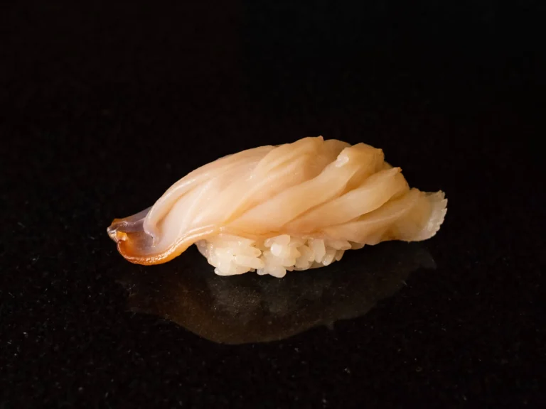 shell fishi sushi by sushi hikari