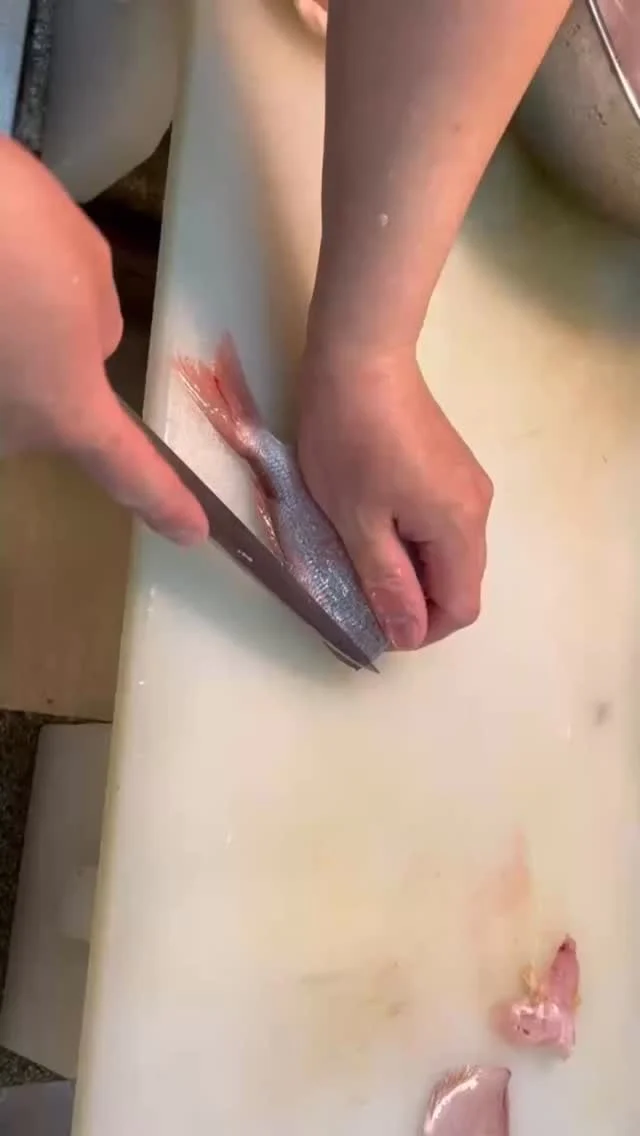 こんにちは☀️
今週もよろしくお願いいたします😊
ご予約お待ちしております🍣

【ランチ】
11:30〜13:00／13:30〜15:00（二部制）
【ディナー】
18:00〜23:00

【メニュー】
🍣 おまかせ12貫コース　9,500円
🍣 おまかせ15貫コース　12,000円
🍣 厳選おまかせショートコース　12,000円
🍣 握り多め大将厳選コース　21,000円
🍣 大将の厳選おまかせコース　23,000円

ご予約はプロフィールリンク、または公式HPより📩

───────────
#自由が丘寿司 #自由が丘グルメ #自由が丘ディナー
#鮨屋 #おまかせコース #記念日ディナー
#隠れ家レストラン #東京寿司 #寿司好きと繋がりたい #sushichef #tokyosushi #寿司グルメ #寿司スタグラム