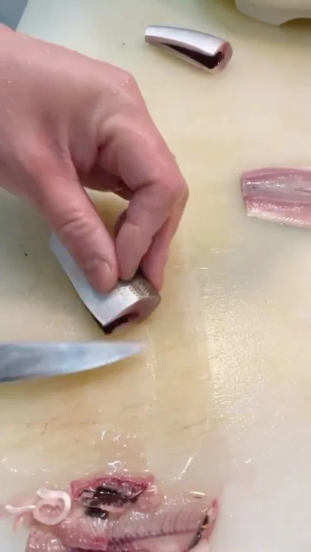 こんにちは☀️
今週もよろしくお願いいたします😊
ご予約お待ちしております🍣

【ランチ】
11:30〜13:00／13:30〜15:00（二部制）
【ディナー】
18:00〜23:00

【メニュー】
🍣 おまかせ12貫コース　9,500円
🍣 おまかせ15貫コース　12,000円
🍣 厳選おまかせショートコース　12,000円
🍣 握り多め大将厳選コース　21,000円
🍣 大将の厳選おまかせコース　23,000円

ご予約はプロフィールリンク、または公式HPより📩

───────────
#自由が丘寿司 #自由が丘グルメ #自由が丘ディナー
#鮨屋 #おまかせコース #記念日ディナー
#隠れ家レストラン #東京寿司 #寿司好きと繋がりたい #sushichef #tokyosushi #寿司グルメ #寿司スタグラム