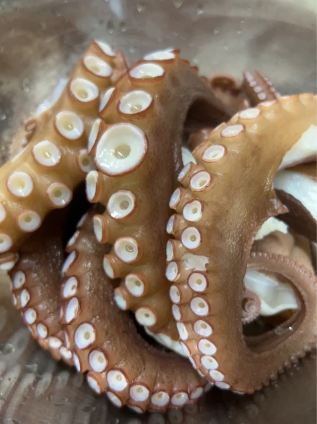 こんにちは☀️
三連休お席ございます！
お待ちしております😊

【ランチ】
11:30〜13:00／13:30〜15:00（二部制）
【ディナー】
18:00〜23:00

【メニュー】
🍣 おまかせ12貫コース　9,500円
🍣 おまかせ15貫コース　12,000円
🍣 厳選おまかせショートコース　12,000円
🍣 握り多め大将厳選コース　21,000円
🍣 大将の厳選おまかせコース　23,000円

ご予約はプロフィールリンク、または公式HPより📩

───────────
#自由が丘 #目黒線グルメ #東横線ディナー 
#鮨屋 #寿司屋