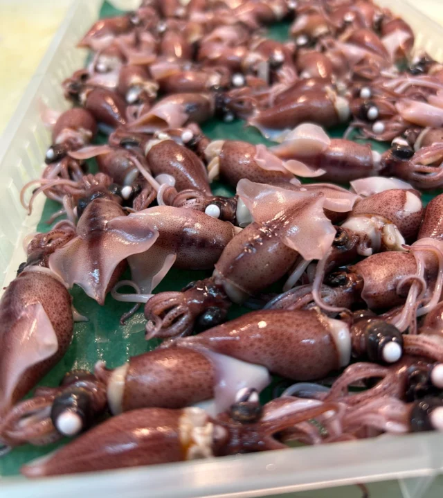 こんにちは🌞
今期も始まりました！
ふっくらしてます🦑
今週もよろしくお願いいたします🙇

【ランチ】
11:30〜13:00／13:30〜15:00（二部制）
【ディナー】
18:00〜23:00

【メニュー】
🍣 おまかせ12貫コース　9,500円
🍣 おまかせ15貫コース　12,000円
🍣 厳選おまかせショートコース　12,000円
🍣 握り多め大将厳選コース　21,000円
🍣 大将の厳選おまかせコース　23,000円

ご予約はプロフィールリンク、または公式HPより📩

───────────
#自由が丘 #目黒線グルメ #東横線ディナー 
#鮨屋 #寿司屋