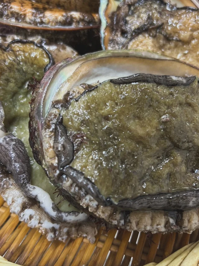 🍣 自由が丘の隠れ家 江戸前鮨

鮑。

ゆっくり火を入れ、

旨みを閉じ込めたひと品。

噛むほどに広がる濃い旨みと、

やわらかな余韻。

手間をかけるほどに、

素材は静かに応えてくれる。

おまかせコースで

今しか味わえない季節をお楽しみください。

ご予約はプロフィールリンクより📩

—

Seasonal Edo-style sushi in Tokyo.

Today’s highlight: abalone

—

Slow-cooked to bring out its full depth of flavor.

Tender, rich, and available in our omakase course.

Reservations via the link in our profile 📩