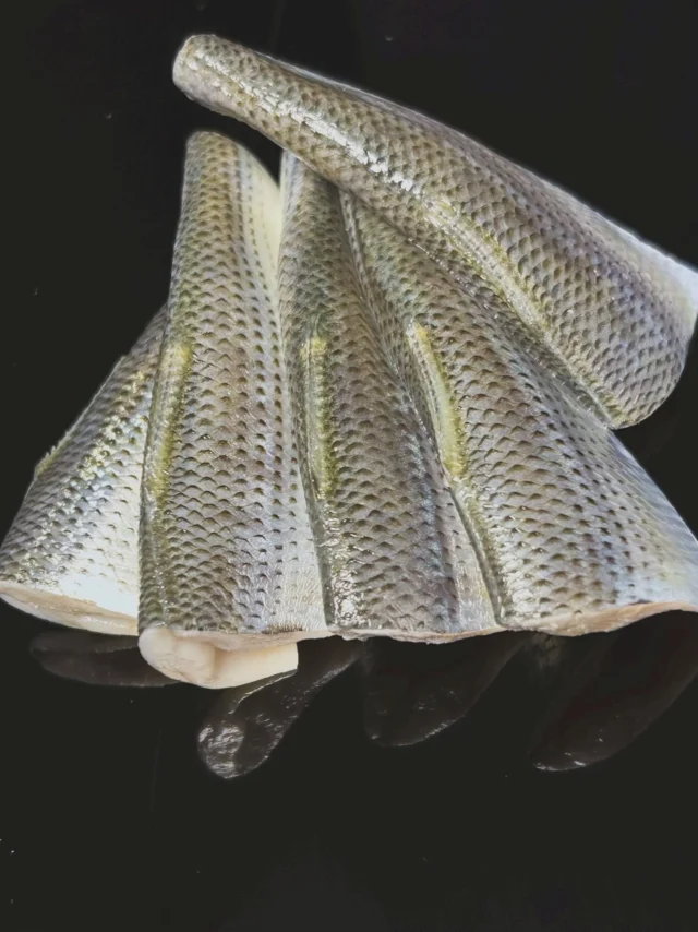 🍣 自由が丘の隠れ家 江戸前鮨

季節が変わるたび、 魚の表情も変わります。

その日いちばん美味しい旬を おまかせコースで。

今しか味わえない一貫を ご用意してお待ちしております。

ご予約はプロフィールリンクより📩

—

Seasonal Edo-style sushi in Tokyo. Enjoy the best fish of the season.

Reservations from the link in bio.