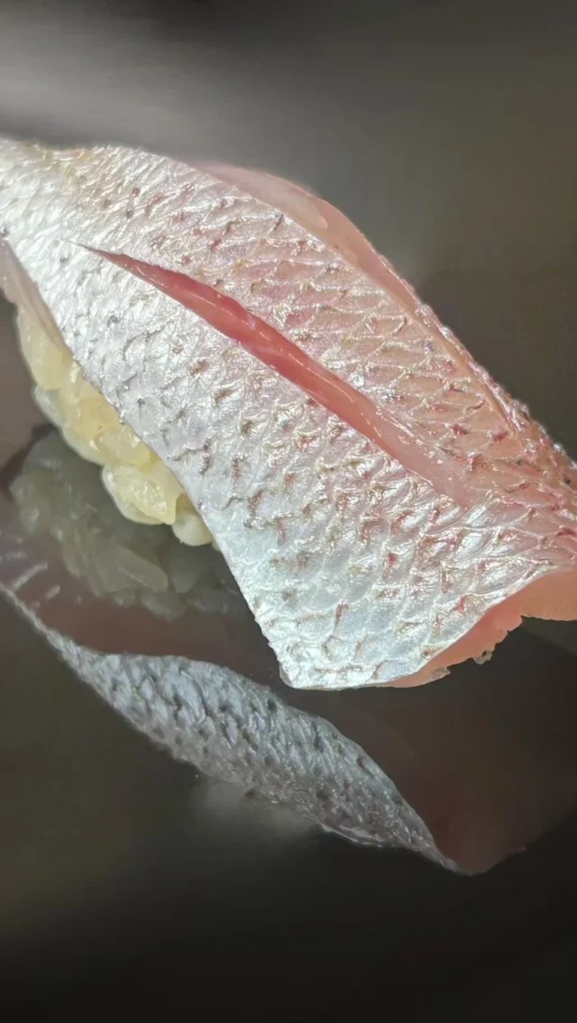 🍣 自由が丘の隠れ家 江戸前鮨

カスゴダイ。

小さな真鯛に、ひと手間を重ねて。

酢で締めることで引き出される、
やわらかな旨みとほのかな香り。

江戸前の仕事が光る一貫です。

おまかせコースで
ぜひお楽しみください。

ご予約はプロフィールリンクより📩

—

Hidden Edo-style sushi in Jiyugaoka, Tokyo.

Today’s preparation: Kasugodai (young sea bream)

Lightly cured to enhance its delicate sweetness
and clean, elegant flavor.

Available in our omakase course.