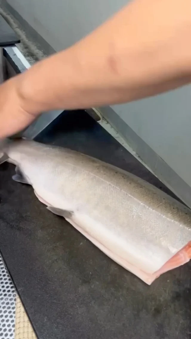🍣 自由が丘の隠れ家 江戸前鮨

琵琶マス。

琵琶湖が育んだ、
上品な脂と繊細な旨み。

丁寧な仕事を重ね、
素材の持ち味を一貫に込めました。

この季節ならではの味わいを、
おまかせコースでぜひお楽しみください。

ご予約はプロフィールリンクより📩

—

Hidden Edo-style sushi in Jiyugaoka, Tokyo.

Biwa trout

Native to the pristine waters of Lake Biwa,
Biwa trout is prized for its elegant richness, delicate umami, and clean finish.

Meticulously prepared to highlight the fish's natural character,
each piece reflects the simplicity and precision of Edomae craftsmanship.

Enjoy this seasonal delicacy as part of our omakase course.

Reservations via the link in our profile.