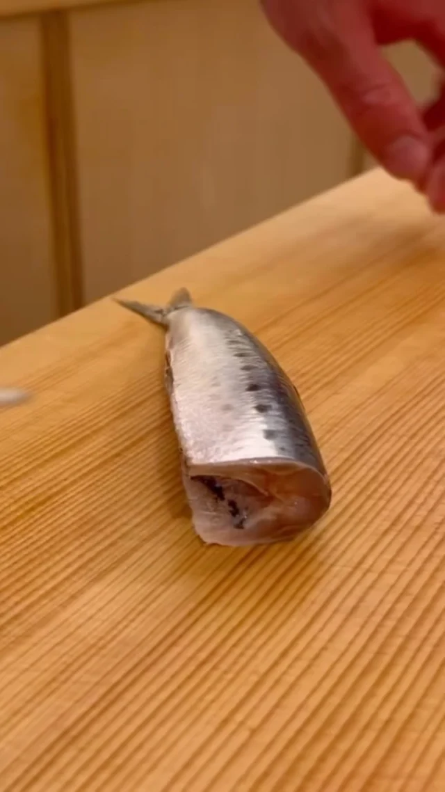 🍣 自由が丘の隠れ家 江戸前鮨

いわし。

旬を迎え、
旨みをたっぷりと蓄えた一貫。

丁寧な仕事を重ね、
素材の持ち味を一貫に込めました。

この季節ならではの味わいを、
おまかせコースでぜひお楽しみください。

ご予約はプロフィールリンクより📩

—

Hidden Edo-style sushi in Jiyugaoka, Tokyo.

Sardine

A classic seasonal favorite,
sardine offers rich umami, delicate sweetness, and a beautifully silky texture.

Meticulously prepared to bring out its natural depth of flavor,
each piece reflects the simplicity and precision of Edomae craftsmanship.

Enjoy this seasonal delicacy as part of our omakase course.

Reservations via the link in our profile.