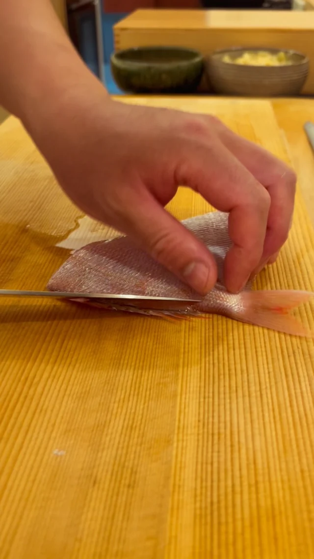 🍣 自由が丘の隠れ家 江戸前鮨

カスゴダイ。

繊細な身質と、
上品な旨みを持つ江戸前鮨の味わい。

一尾ずつ状態を見極めながら、
骨際まで丁寧に包丁を入れ、三枚におろしていきます。

小さな魚だからこそ、
一つひとつの所作に技術と細やかな仕事を。

素材の魅力を引き出す、
江戸前鮨の仕込みです。

—

Hidden Edo-style sushi in Jiyugaoka, Tokyo.

Kasugodai (young sea bream).

Prized for its delicate texture
and refined umami.

Each fish is carefully filleted with precision,
following the bones closely to preserve as much of the delicate flesh as possible.

With such a small fish, every movement requires care and skill.

A quiet preparation that reflects the craftsmanship of Edomae sushi.