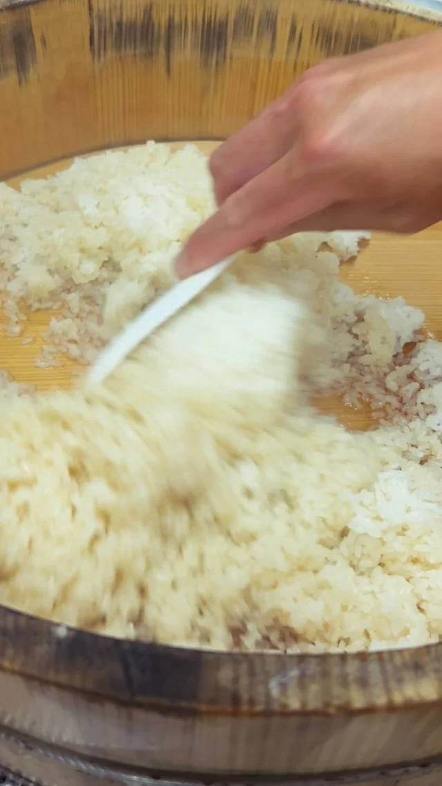 🍣 自由が丘の隠れ家 江戸前鮨

シャリ切り。

炊き上がったばかりのシャリに、
2種類の酢をまとわせ、切るように手早く混ぜていきます。

米粒を潰さず、
一粒一粒を立たせながら仕上げる。

鮨の味わいを支える、
江戸前鮨の大切な仕込みです。

素材だけでなく、
シャリにも職人の技とこだわりを。

ご予約はプロフィールリンクより📩

—

Hidden Edo-style sushi in Jiyugaoka, Tokyo.

Preparing the sushi rice.

Freshly cooked rice is carefully seasoned with sushi vinegar,
then gently mixed with a precise cutting motion.

The aim is to preserve the shape and texture of each grain,
creating rice with a light, delicate finish.

An essential part of Edomae sushi craftsmanship,
and the foundation of every piece.

Because in sushi, the rice matters just as much as the fish.

Reservations via the link in our profile.