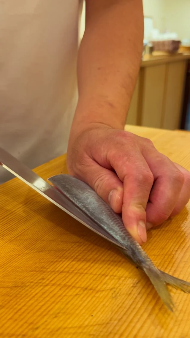 🍣 自由が丘の隠れ家 江戸前鮨

鯵。

ほどよく脂がのり、
豊かな旨みと爽やかな味わいを持つ旬の一尾。

一尾ずつ状態を見極めながら、
骨際に沿って丁寧に包丁を入れ、
身を傷めることなく三枚におろしていきます。

魚の状態に合わせて刃を進め、
素材の持ち味を引き出す。

一尾の魚と向き合うところから始まる、
江戸前鮨の丁寧な仕込みです。

この季節ならではの味わいを、
おまかせコースでぜひお楽しみください。

ご予約はプロフィールリンクより📩

Hidden Edo-style sushi in Jiyugaoka, Tokyo.

Aji (horse mackerel).

A seasonal favorite prized for its delicate richness,
fresh flavor, and refined umami.

Each fish is carefully filleted by hand,
with the knife following closely along the bones
to preserve as much of the delicate flesh as possible.

Every cut is guided by the condition of the fish,
bringing out its natural character with precision and care.

From the whole fish to the carefully prepared fillet,
each step reflects the quiet craftsmanship of Edomae sushi.

Enjoy this seasonal delicacy as part of our omakase course.
Reservations via the link in our profile.