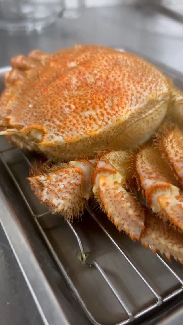 🍣 自由が丘の隠れ家 江戸前鮨

**仕込みから、鮨は始まる。**

蟹や海老に火を入れ、
魚を丁寧に卸し、
玉子焼きを仕上げる。

食材ごとに異なる技と加減。
一つひとつの仕込みを積み重ねて、
ようやく一貫の鮨が生まれます。

静かな仕込みの時間にこそ、
江戸前鮨の仕事があります。

6mの檜カウンターで味わう、
大将のおまかせコース。

ご予約はプロフィールリンクより📩

**The craft begins long before the first piece of sushi.**

Crab and shrimp are gently steamed and boiled.
Fish is carefully broken down by hand.
Tamagoyaki is prepared fresh, with patience and precision.

Every ingredient demands its own technique,
and every preparation is an essential part of the experience.

Quiet work, precise hands,
and the pursuit of perfection—
all before a single piece reaches the counter.

Edomae sushi, prepared daily in Jiyugaoka, Tokyo.

Reservations via the link in our profile.
